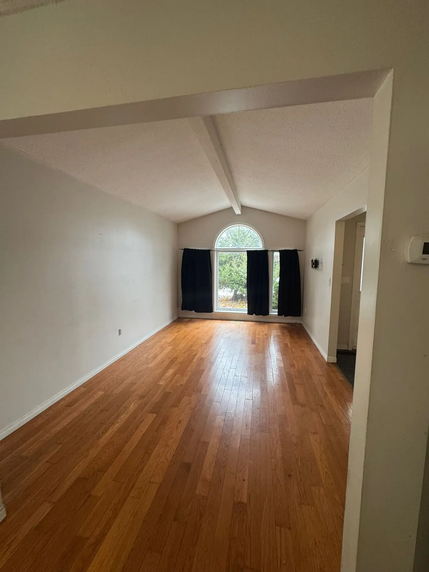 26 McLachlan thumbnail 9