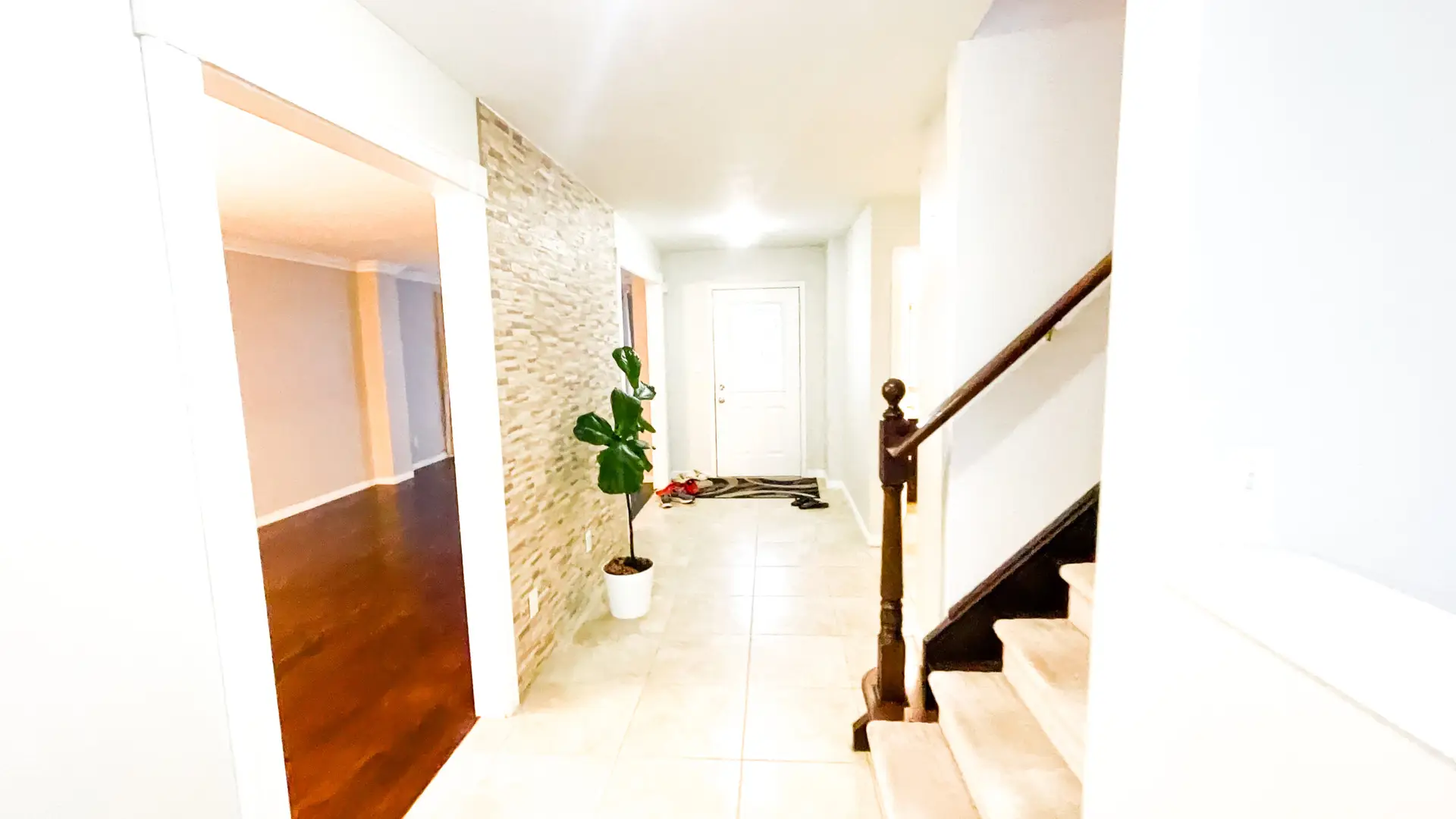 888 Paisley thumbnail 4