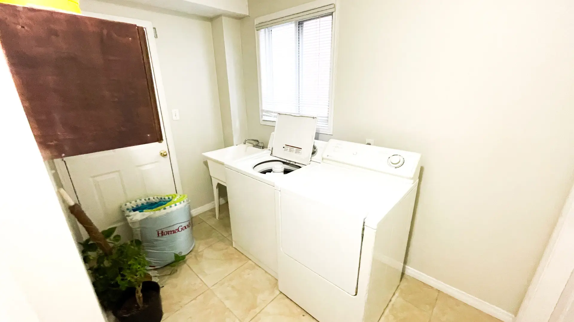 888 Paisley thumbnail 9